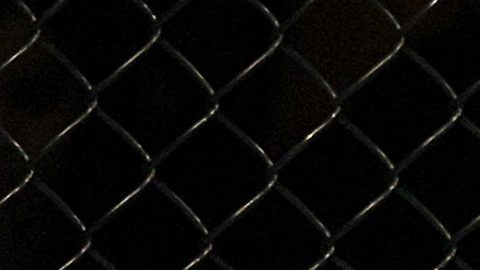 BJ Penn en un combate de peso welter de artes marciales mixtas en un evento de UFC.