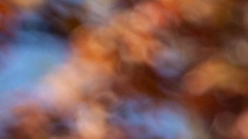 Benson Kipruto celebra su victoria en la categoría élite masculina del Maratón de la Ciudad de Nueva York.