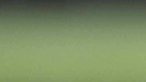 El exmariscal de campo de los Cleveland Browns, Bernie Kosar.