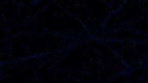 Bluebonnets by Mandylights shot by Jeremy Weine