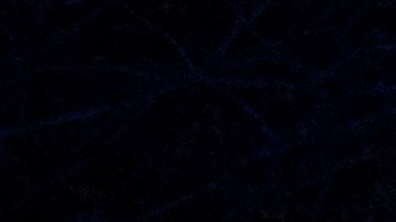 Bluebonnets by Mandylights shot by Jeremy Weine