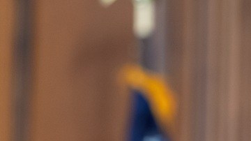 Brooke Rolllins, secretaria de Agricultura, reveló que han detectado un desfalco de $102 millones al Programa SNAP.