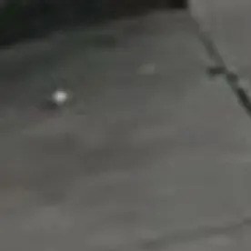 Caines fue detenido el 13 de noviembre por su ola de escupitajos, posteriormente fue liberado con un grillete en el tobillo al día siguiente.