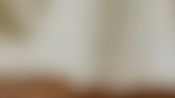 Los huevos fueron distribuidos en 14 estados del país.