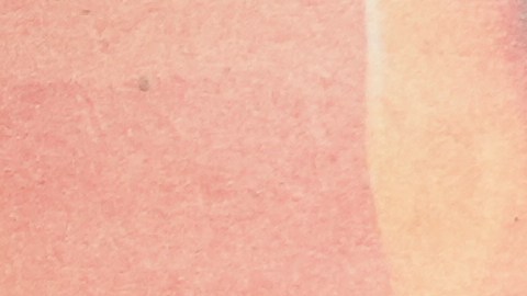 Bruce Springsteen compró esta casa en 1982 y la vendió en 2003.