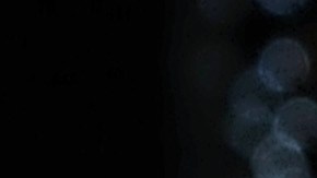 Bruce Willis y Emma Heming.