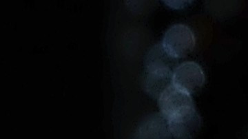 Bruce Willis y Emma Heming.