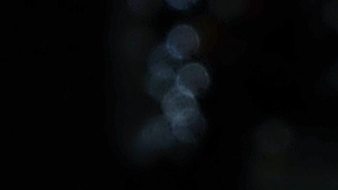 Bruce Willis y Emma Heming.