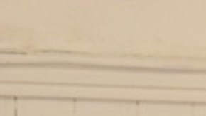 La colaboración entre Caridades Católicas y el Food Bank for New York City no solo alimenta a los neoyorquinos; los capacita para construir hábitos saludables y sostenibles.