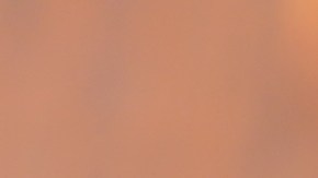 Las calabazas y las batatas son las estrellas del otoño. Conoce sus beneficios nutricionales.