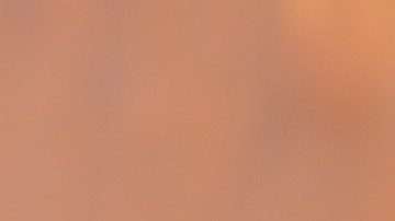 Las calabazas y las batatas son las estrellas del otoño. Conoce sus beneficios nutricionales.