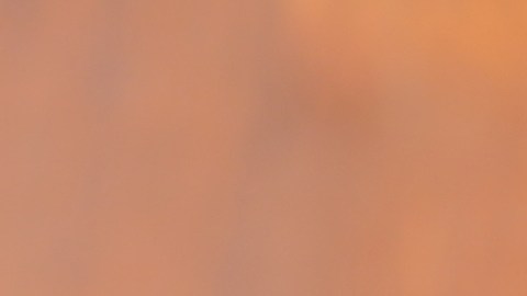 Las calabazas y las batatas son las estrellas del otoño. Conoce sus beneficios nutricionales.