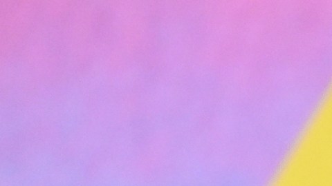 Callum Turner fue visto en una casa en Jamaica relacionada con James Bond.