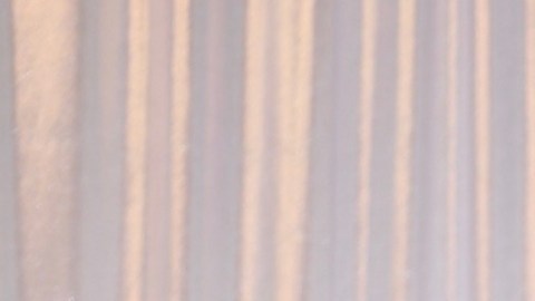 Carlos Adyan, presentador de televisión.