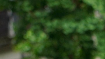 Carmen De La Rosa retira su candidatura a la presidencia del Concejo Municipal de Nueva York: respalda a Crystal Hudson