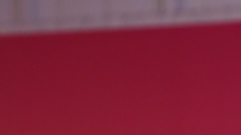 Carolina Sandoval, presentadora venezolana de televisión.