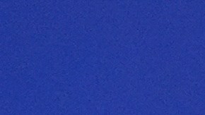 Carolina Sandoval se mudó a una nueva casa en enero de este año.