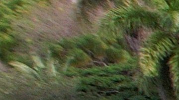 Toma aérea de la casa de Erik Spoelstra.