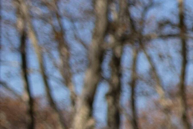 El entrenador de los Portland Trail Blazers, Chauncey Billups, sale del tribunal federal de Brooklyn el lunes 24 de noviembre de 2025, en Nueva York. (Foto AP/Yuki Iwamura)