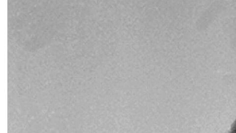 El lanzador de los Padres de San Diego, Randy Jones, posa para una foto en marzo de 1976.