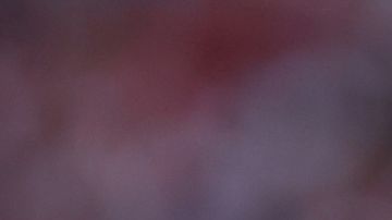 Javier 'Chicharito' Hernández celebrando gol con Chivas.