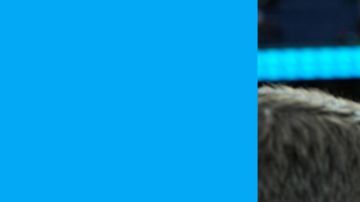 El comisionado de la NFL, Roger Goodell, es entrevistado.