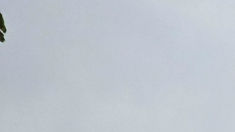 Aunque los productos no están disponible para la venta y están caducados, Costco emite una alerta.