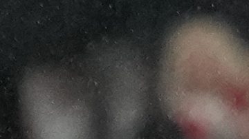 El portero del Real Madrid, Thibaut Courtois, atrapa el balón frente a Cody Gakpo del Liverpool.