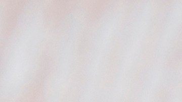 Las croquetas se vendieron en línea a nivel nacional.