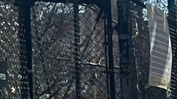 Casi la mitad de los niños que estudian en las 1,700 escuelas públicas de NYC son latinos