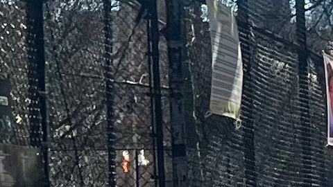 Casi la mitad de los niños que estudian en las 1,700 escuelas públicas de NYC son latinos