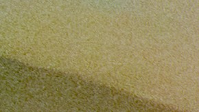 Una madre, cuatro uniformes: (De izquierda a derecha) Jorge Ozuna, Marilyn Ozuna (madre), Antony Ozuna, Rose Ozuna y Marilyn Ozuna (hija).