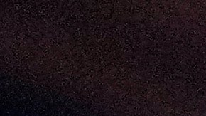 Bizarrap y Daddy Yankee presentaron por primera vez en vivo su tema estrenado el 5 de noviembre.