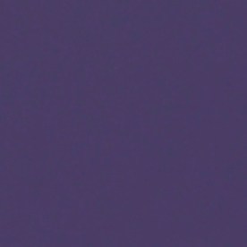 Daniela di Giacomo, presentadora venezolana de televisión.