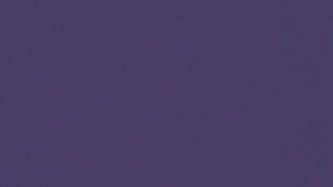 Daniela di Giacomo, presentadora venezolana de televisión.