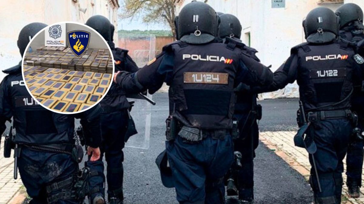 Desmantelan célula del Cártel Jalisco Nueva Generación en España