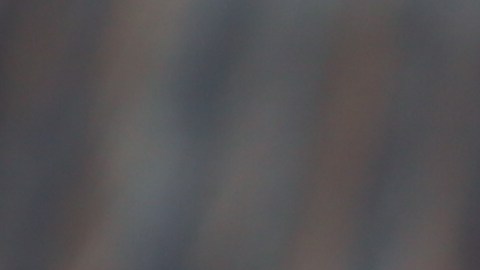 Combina sabores audaces con esta deliciosa preparación.