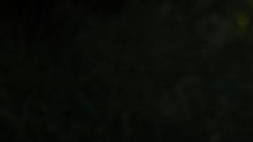 "Nuestra tarea es evitar que esas sustancias destruidas vuelvan a las calles", dijeron las autoridades.