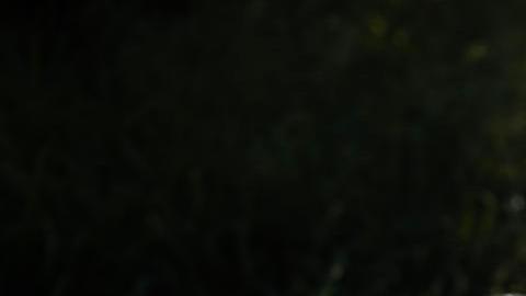 "Nuestra tarea es evitar que esas sustancias destruidas vuelvan a las calles", dijeron las autoridades.