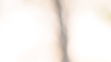 El Departamento de Educación continuará procesando las solicitudes de las personas que planean asistir a la universidad el próximo año.