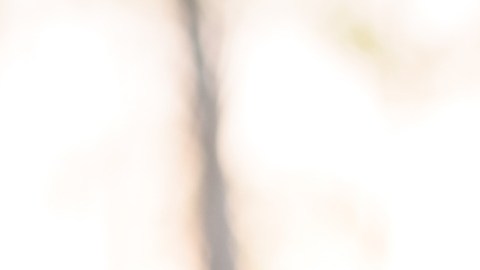 El Departamento de Educación continuará procesando las solicitudes de las personas que planean asistir a la universidad el próximo año.