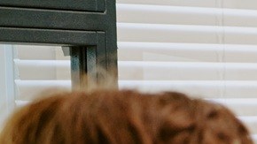 El Día de Acción de Gracias es feriado oficial en todo EE.UU.