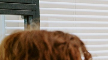 El Día de Acción de Gracias es feriado oficial en todo EE.UU.