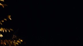 El gobierno cumple este martes 35 días de cierre, igualando el máximo histórico de 2019.