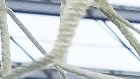 Partidos de la Concacaf.