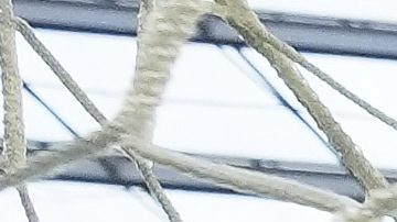 Partidos de la Concacaf.