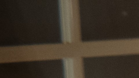 Reunión familiar Navidad