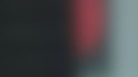 El FBI ofrece una recompensa de $15 millones por información que los lleve a su captura.