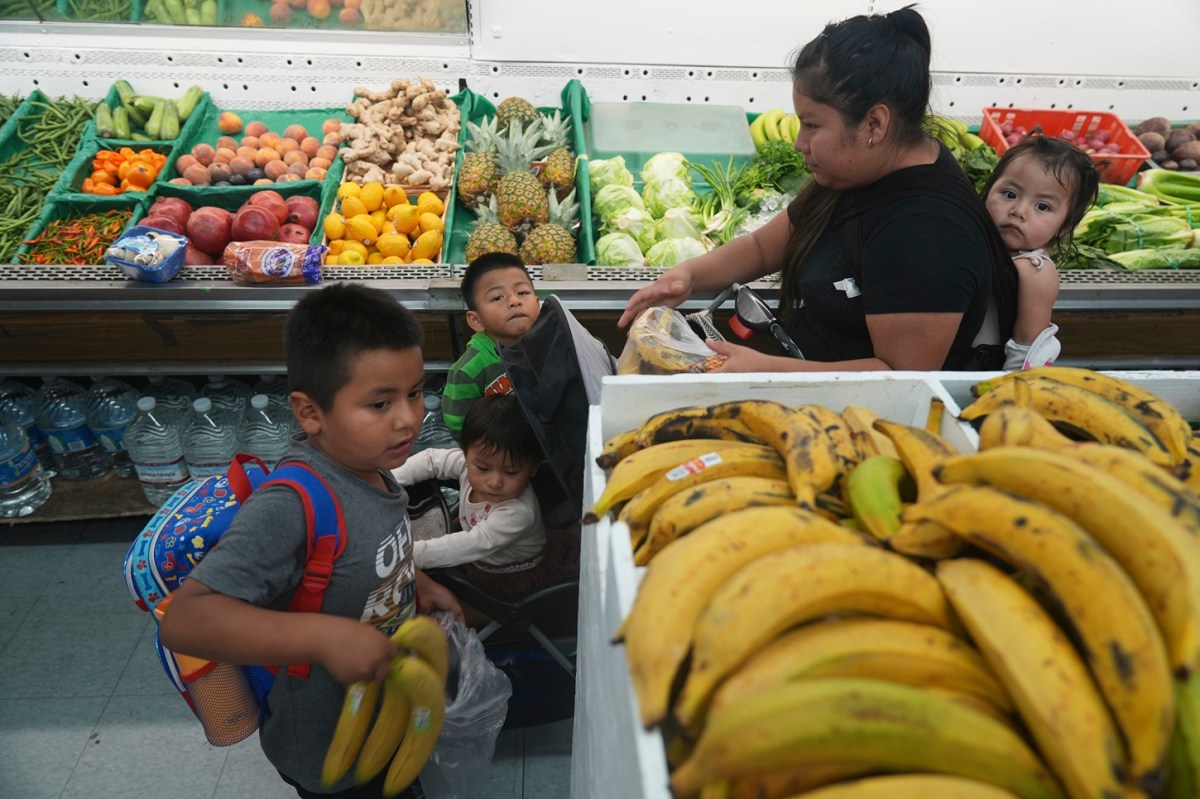 Conoce 9 estrategias para conseguir comida gratuita o económica en tiempos difíciles