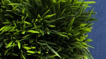 La FTC consideró que Amazon Prime utilizó un proceso fraudulento para suscribir personas y dificultarles la cancelación del servicio.